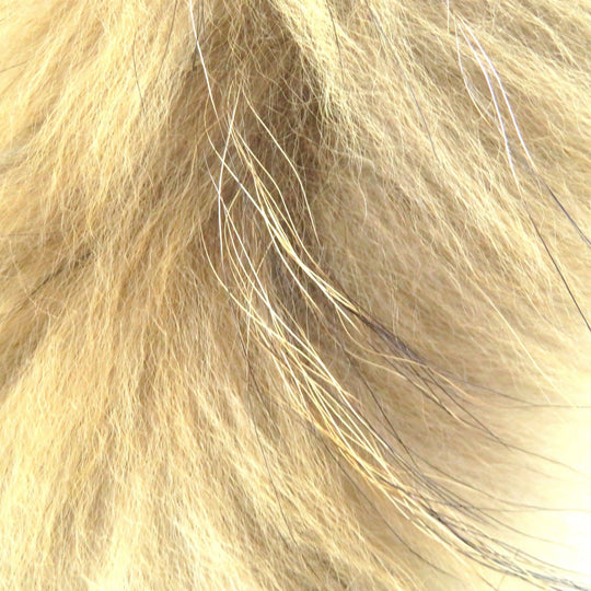 BURBERRY BLUE LABEL Down jacket Nylon Black Women 38 Used Authentic