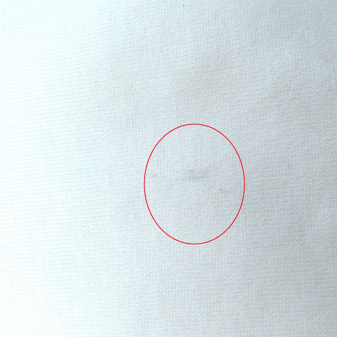 BURBERRY Short sleeve T-shirt 8008894 Main: 100% cotton white Women S P Used Authentic