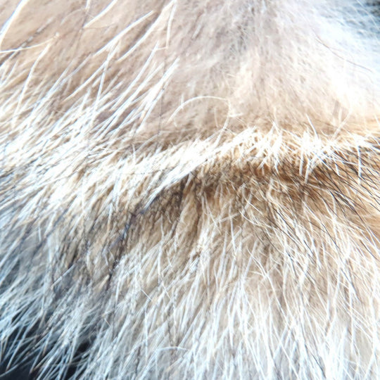 CANADA GOOSE Down jacket 3438JM Outer: 85% polyester, Outer: 15% cotton, Lining: 100% nylon, Part: 98% acrylic, Part: 2% polyester black JASPER PARKA Jasper Parka mens S Used Authentic