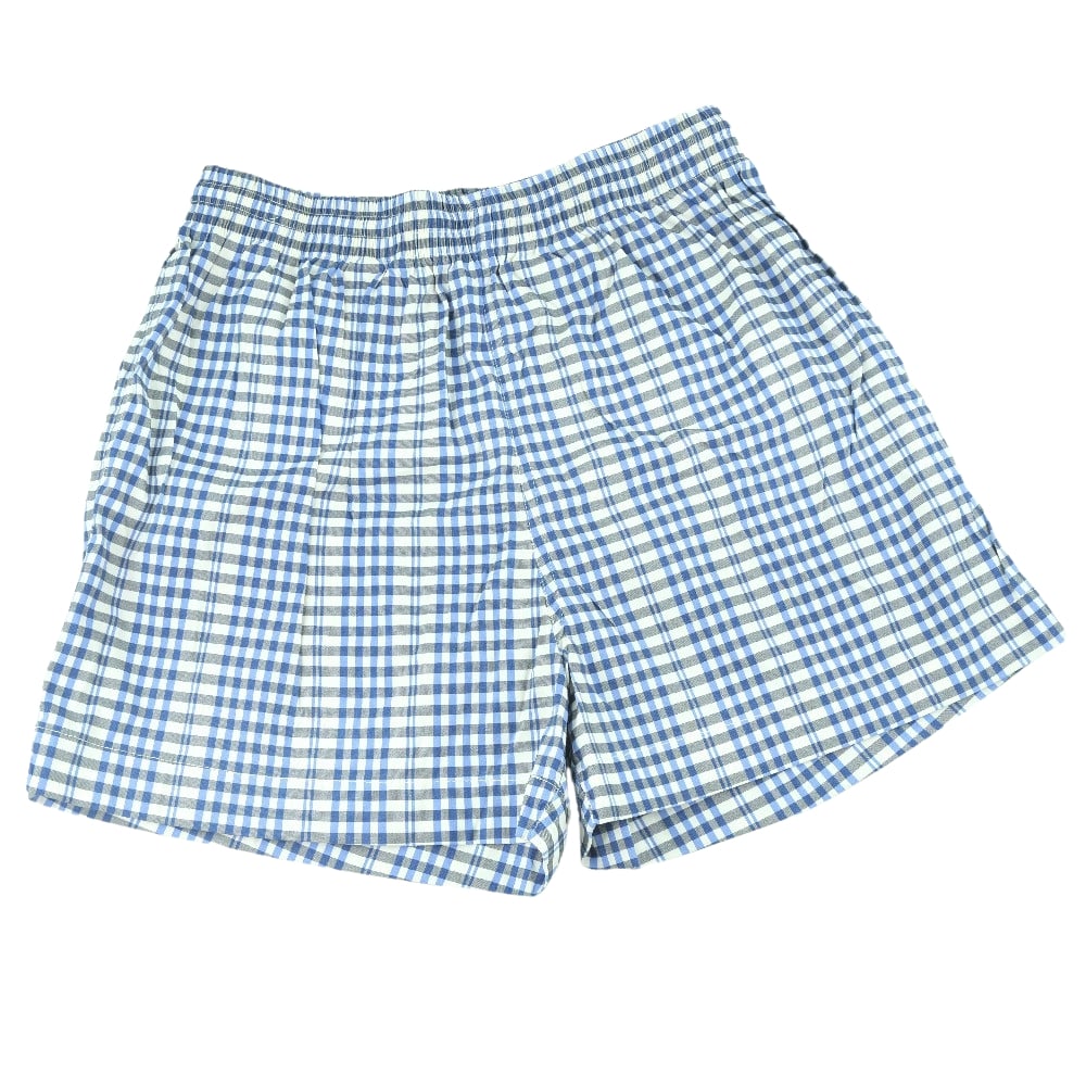 HERMES Pants Nylon, Polyurethane blue check Swimwear mens S Used Authentic