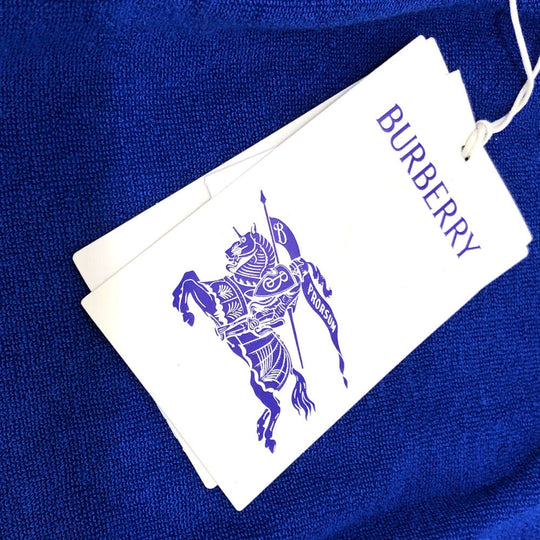 BURBERRY Short sleeve T-shirt 8081234 cotton blue Apparel Tops LIGHT BLUE mens M Used Authentic