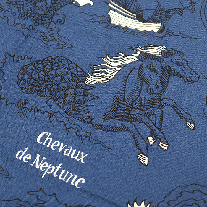 HERMES scarf cashmere silk Marine Clair 243374S 04