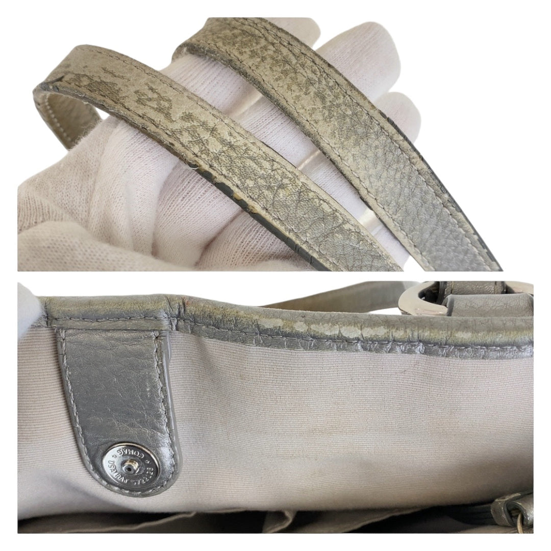 COACH Tote Bag PVC blue Signature