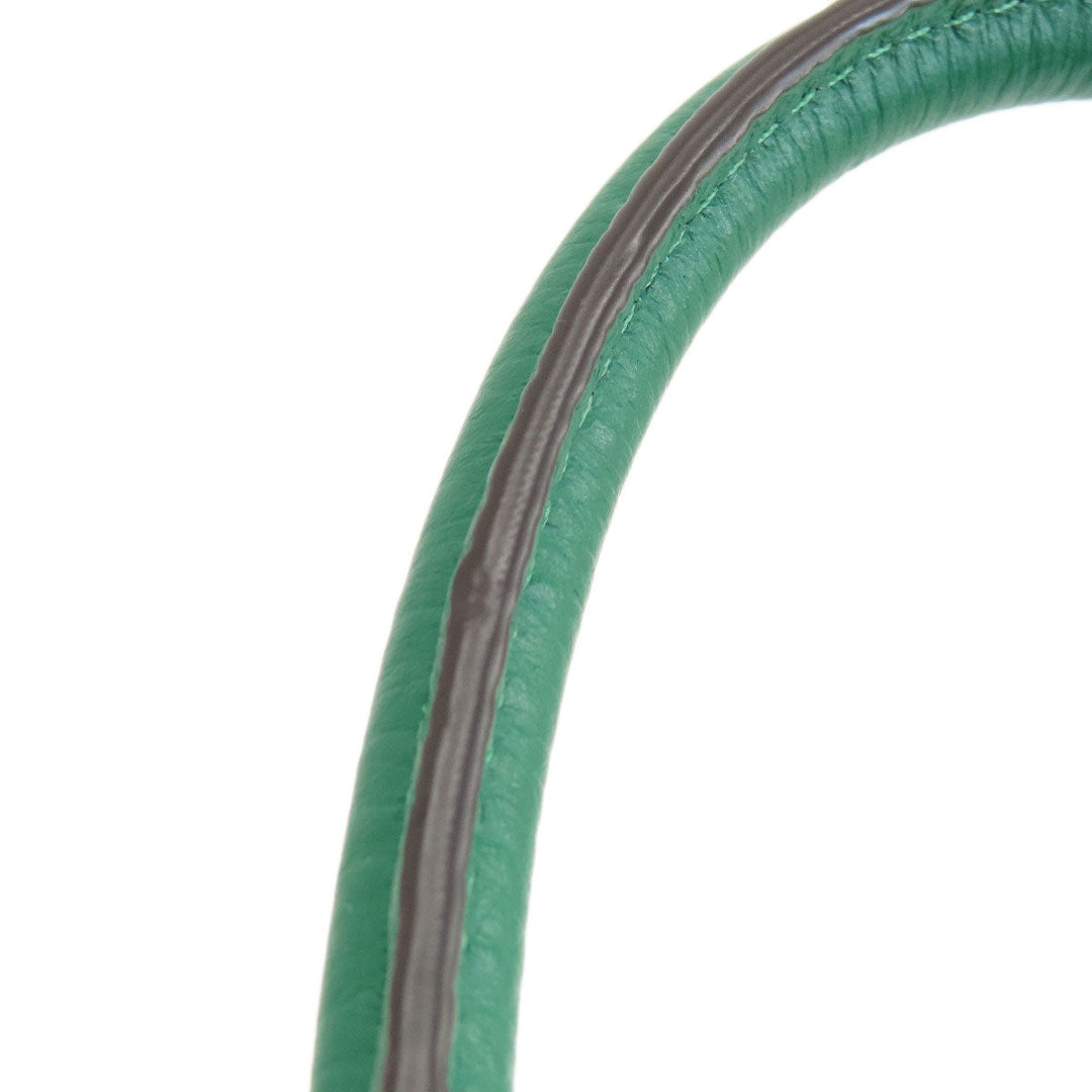 COACH Handbag C8364 leather green Mini Lily 2WAY