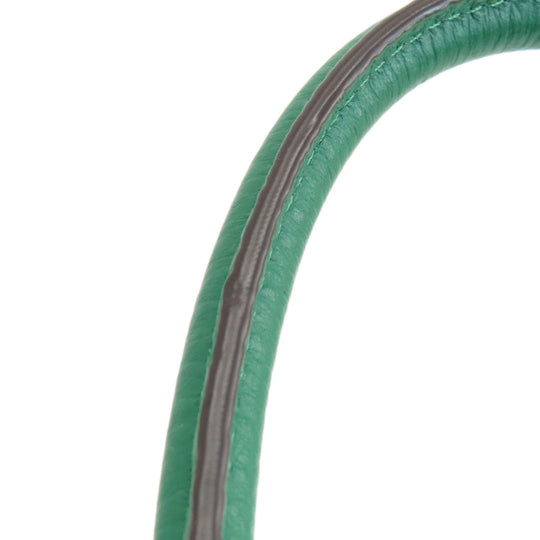 COACH Handbag C8364 leather green Mini Lily 2WAY