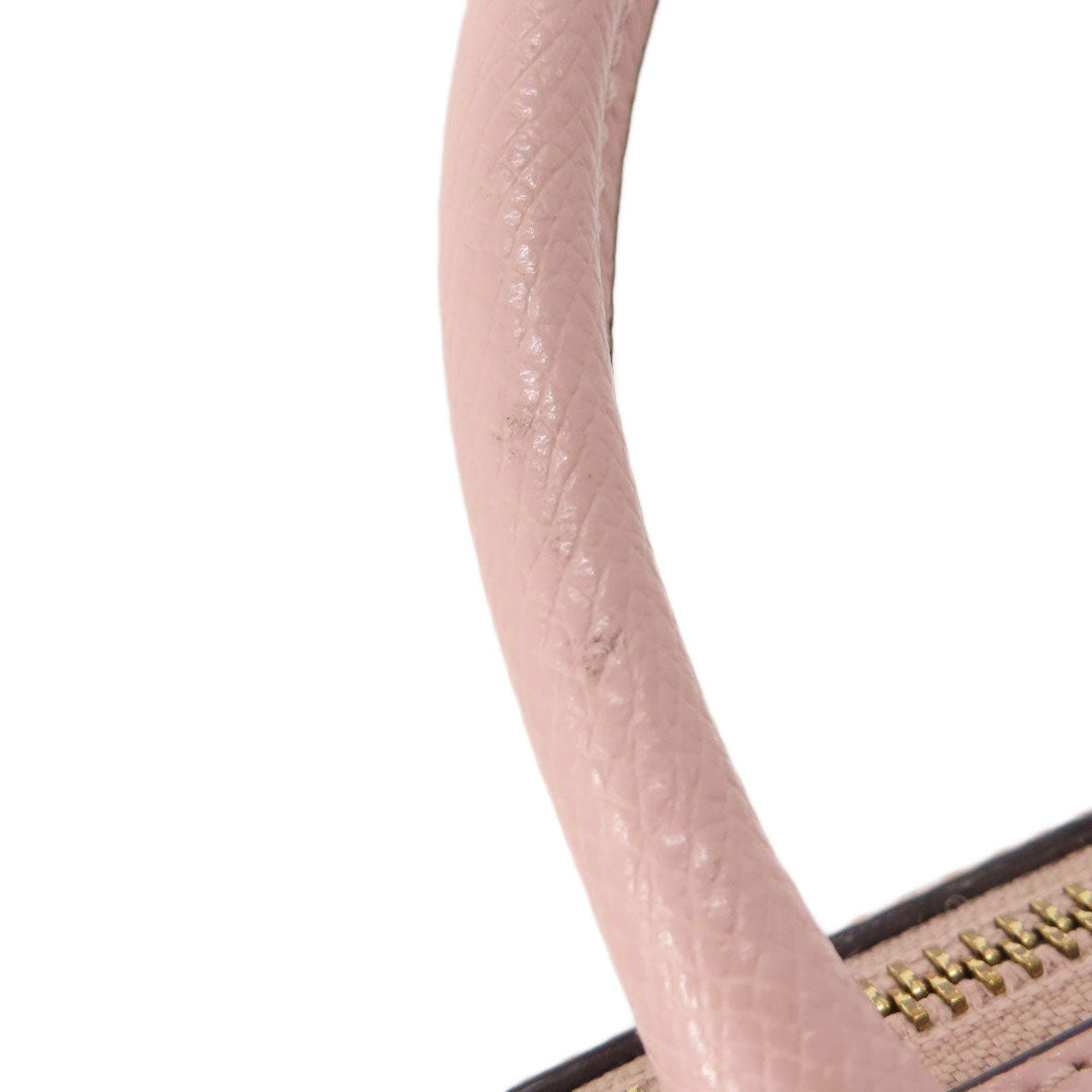 COACH Handbag F33329 leather pink 2WAY