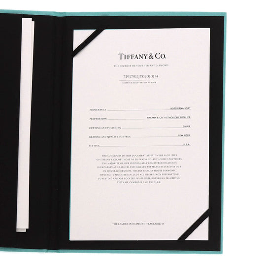 TIFFANY&Co. Necklace PT950 Silver Sorest diamond