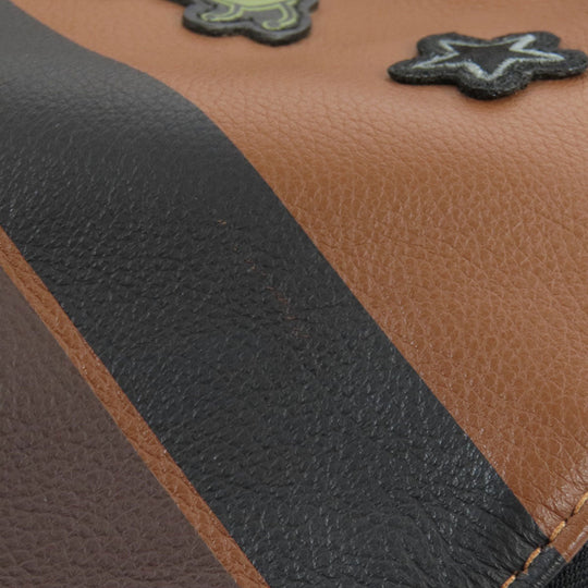 COACH Backpack F11898 leather Brown Charles Varsity