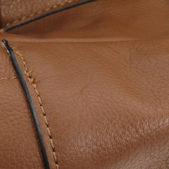 COACH Backpack F11898 leather Brown Charles Varsity