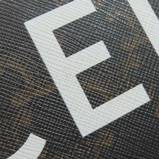 CELINE Tote Bag PVC Brown Vertical Hippo Triomphe