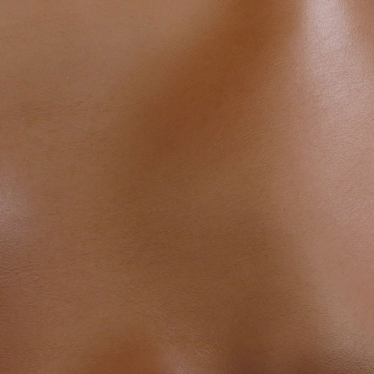 COACH Backpack C2934 leather Brown logo Women Used Authentic