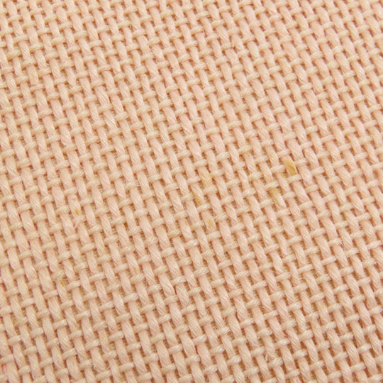 BURBERRY Handbag canvas pink Blue label