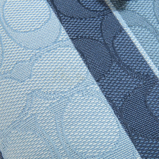 COACH Handbag C8416 canvas blue Molly Tote 25 2WAY