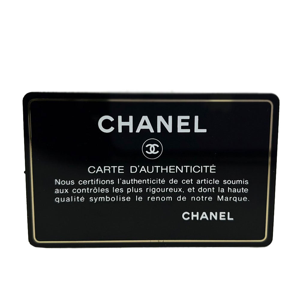 CHANEL Shoulder Bag AS1160 leather gray COCO Mark chanel 19 Women Used Authentic