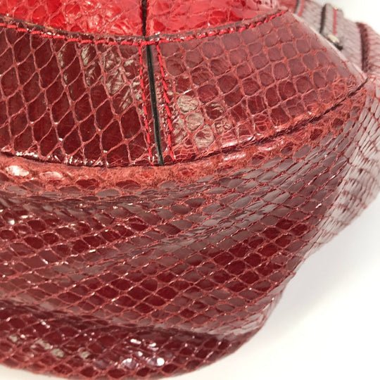 CELINE Shoulder Bag PVC / Leather Red With charm