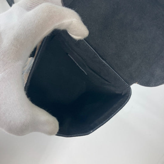 LOUIS VUITTON Vanity bag M43001 canvas Brown Monogram Reverse Leopard Camera box Women Used Authentic