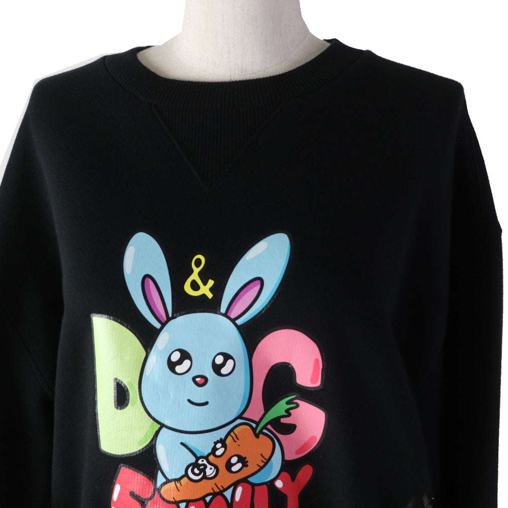 DOLCE&GABBANA pullover F9L05T Outer: 80% cotton, Outer: 20% polyester, Part: 95% cotton, Part: 5% polyurethane, Lining: 100% polyurethane black Women XXS Used Authentic