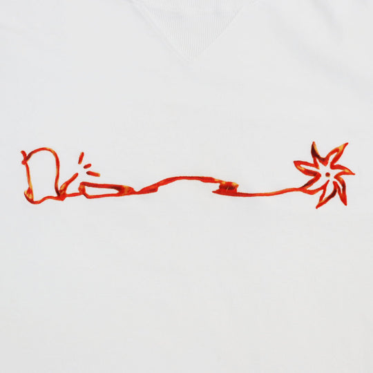Dior HOMME Short sleeve T-shirt 283J685C0554 Main: 100% cotton white Cactus Jack Dior Oversized Tee Cactus Jack Oversized T-shirt mens S Used Authentic