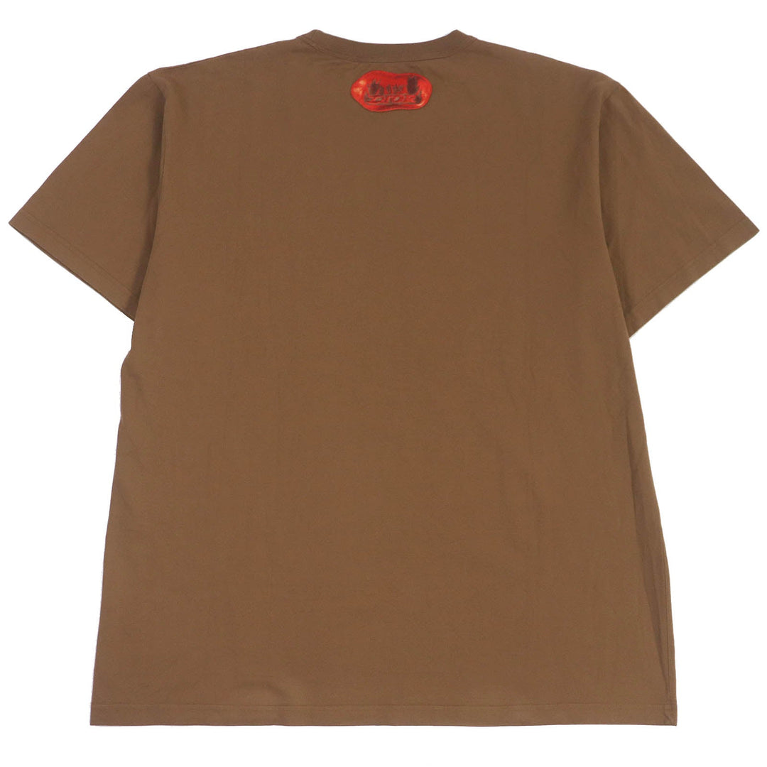 Dior HOMME Short sleeve T-shirt 283J641B0677 Main: 100% cotton, Part: 100% polyester Brown mens XL Used Authentic