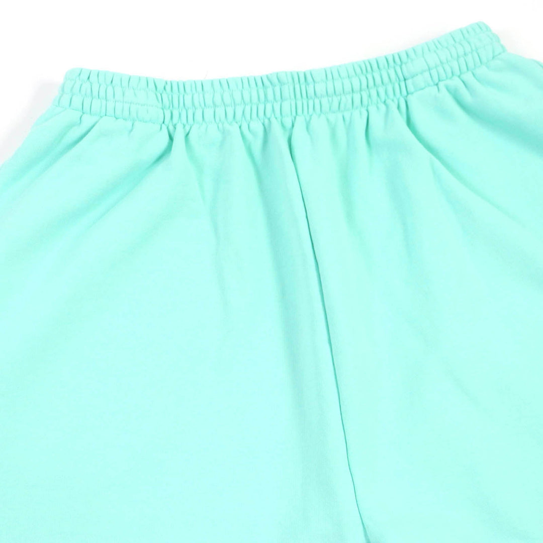 BALENCIAGA Pants 674594 Main: 100% cotton, Part: 100% polyester mint mens M Used Authentic