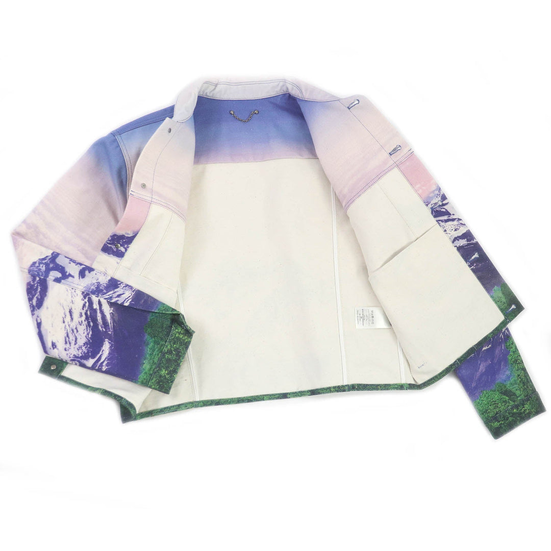 LOUIS VUITTON Denim Jacket 1A9T10 Main: 100% cotton, part: cowhide multicolor landscape mens 48 Used Authentic