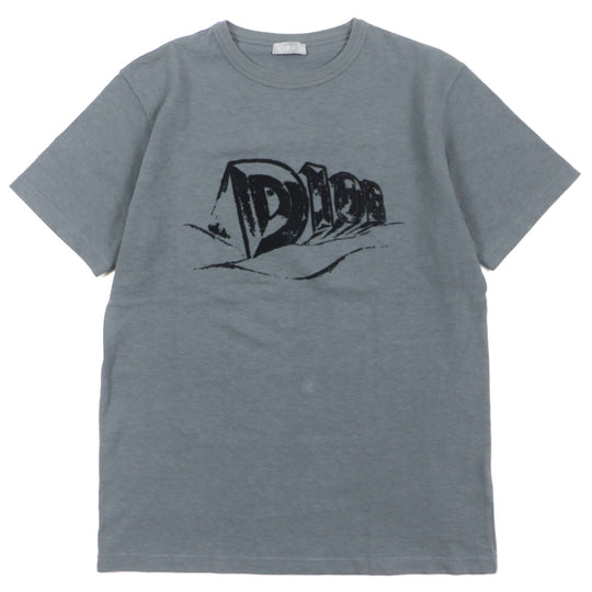 Dior HOMME Short sleeve T-shirt 393J696A0849 Main: 100% cotton gray Slub cotton jersey mens S Used Authentic