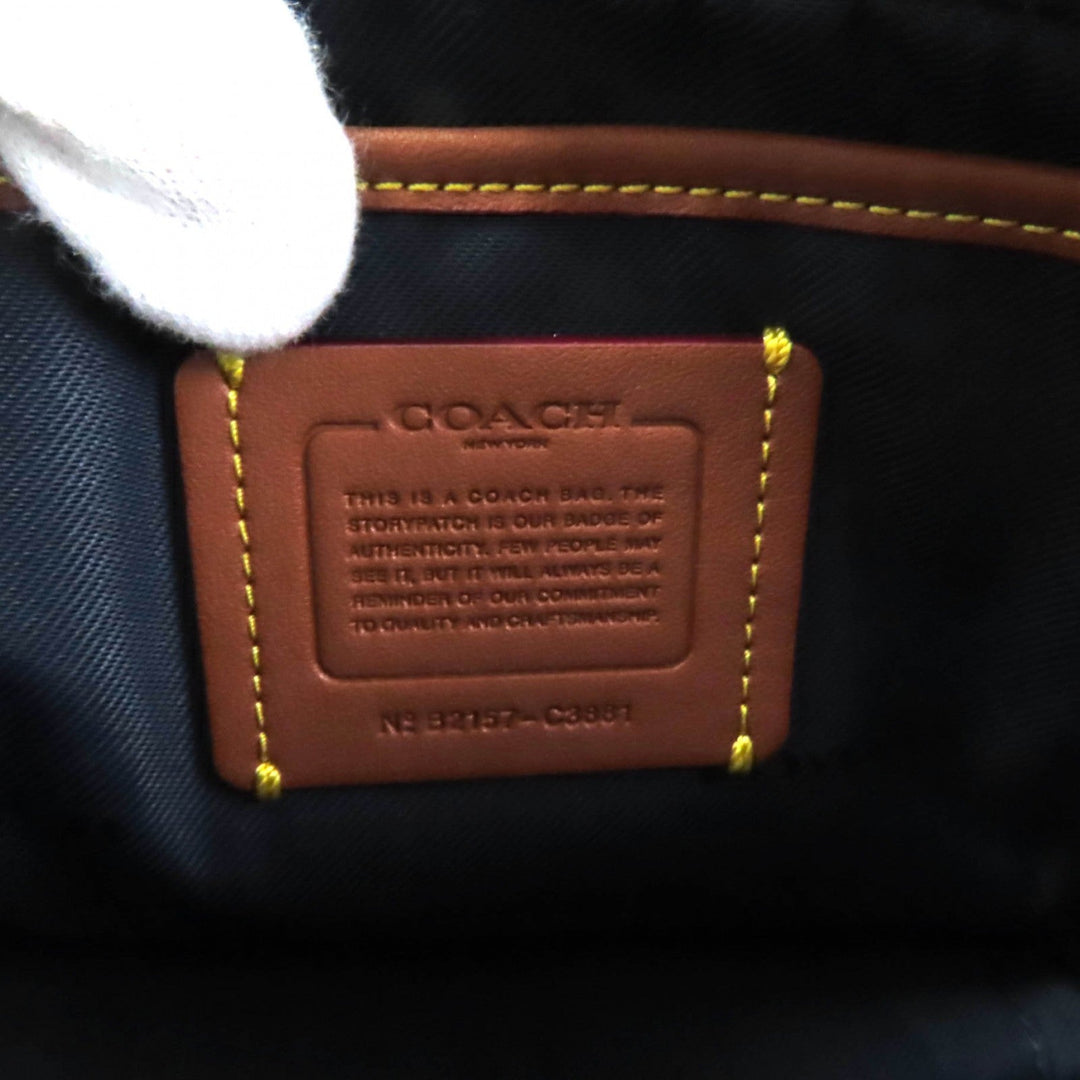 COACH Shoulder Bag C3881 Main: Leather Light blue Willow Women Used Authentic