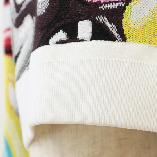Dior knit [Outer material] 60% cotton, 37% polypropylene multicolor mens XL Used Authentic