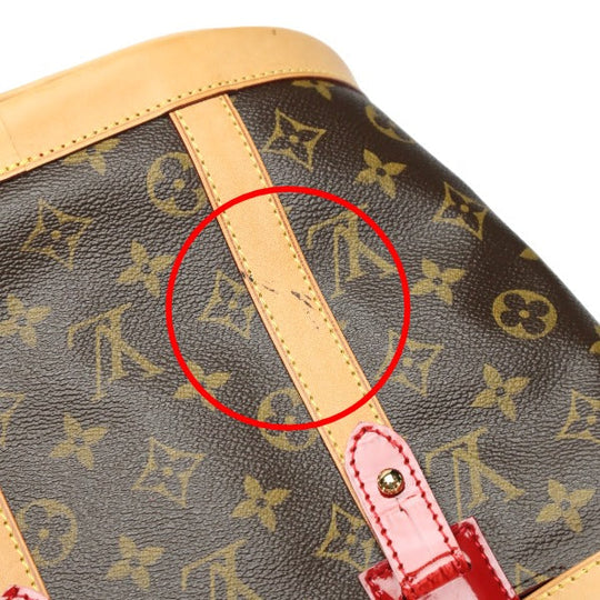 LOUIS VUITTON Handbag M95613 Monogram canvas Brown Handbag Monogram Neo Bucket Women Used Authentic