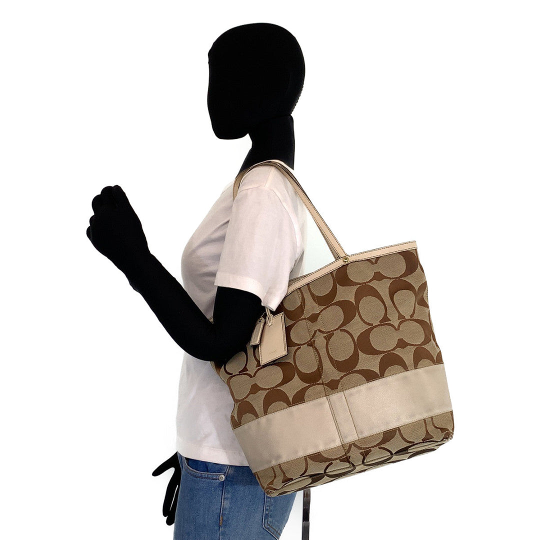 COACH Tote Bag 10125 leather Brown Signature