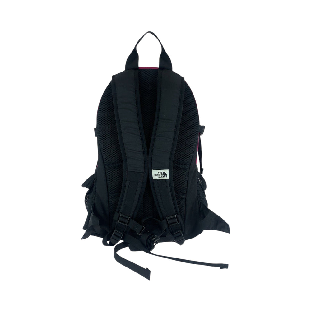 THE NORTH FACE Backpack canvas pink BORDER LINE 30L logo