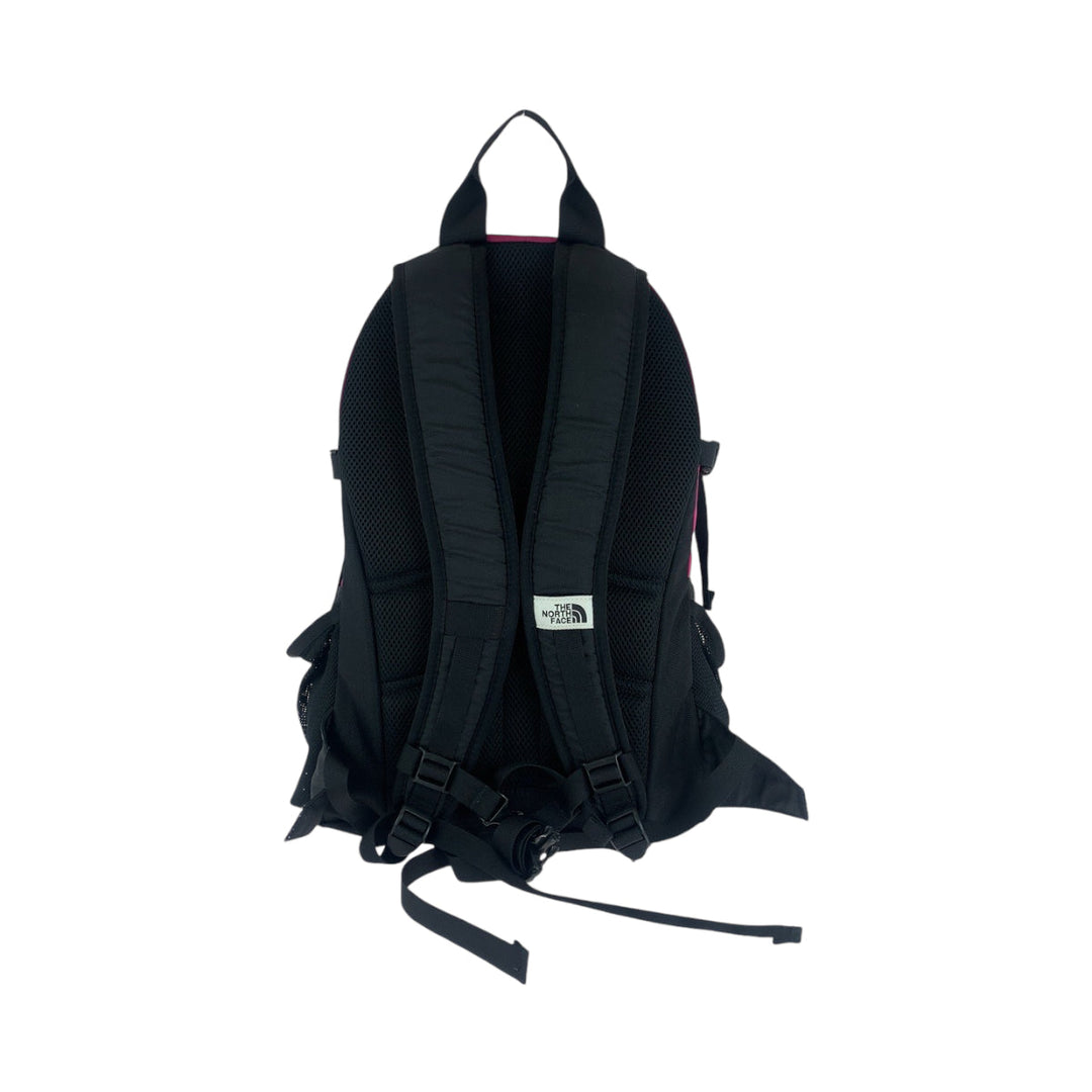 THE NORTH FACE Backpack canvas pink BORDER LINE 30L logo