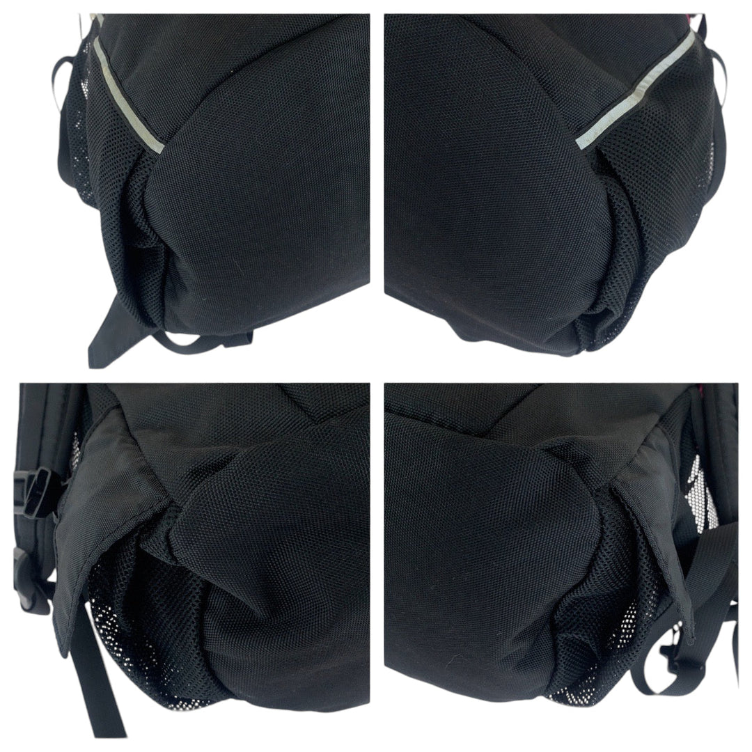 THE NORTH FACE Backpack canvas pink BORDER LINE 30L logo