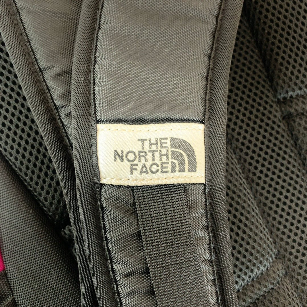 THE NORTH FACE Backpack canvas pink BORDER LINE 30L logo