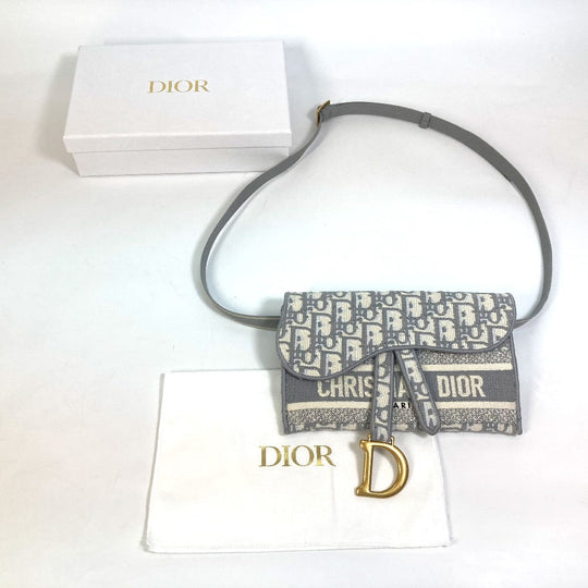 Dior Waist bag Jacquard gray Embroidery Oblique SADDLE saddle slim pouch mens Used Authentic
