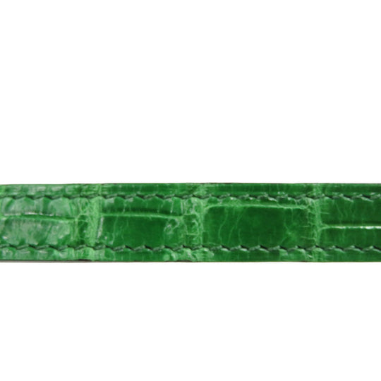HERMES belt Polosus green Serie Women Used Authentic