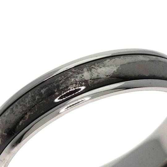 TIFFANY&Co. Ring PT950 Silver Double line