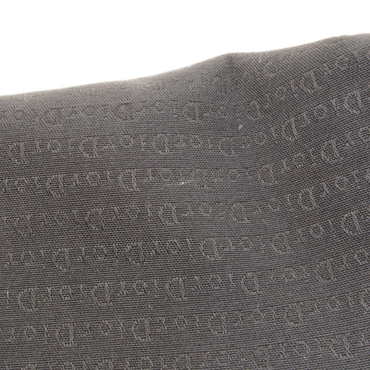 Christian Dior Tote Bag canvas black logo Women Used Authentic