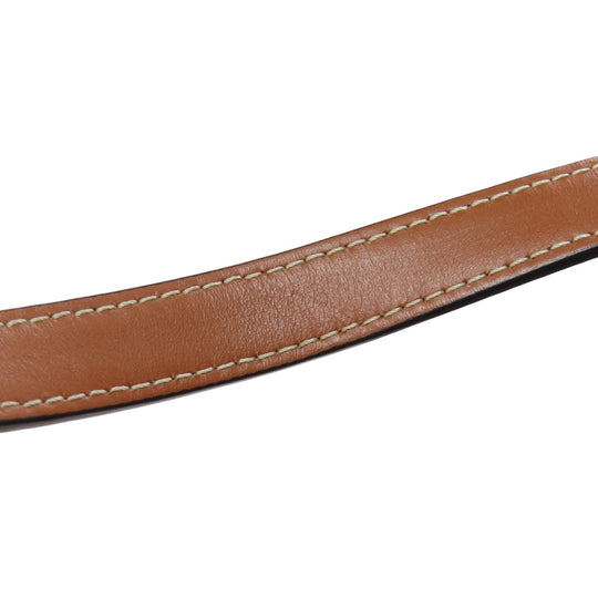 CELINE Tote Bag PVC Brown Vertical Hippo Triomphe