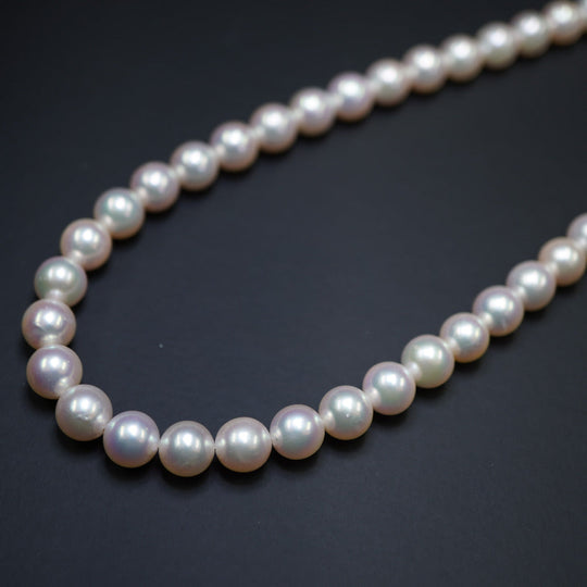JEWELRY Necklace Akoya Pearl, Silver925 Pearl white Akoya Pearl 8-8.5mm Women Used Authentic