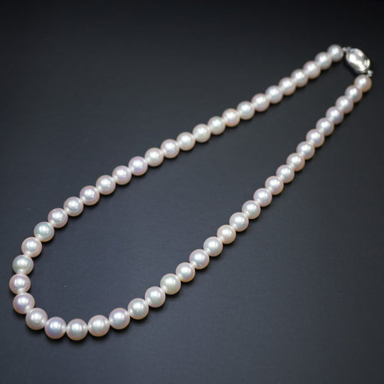 JEWELRY Necklace Akoya Pearl, Silver925 Pearl white Akoya Pearl 8-8.5mm Women Used Authentic