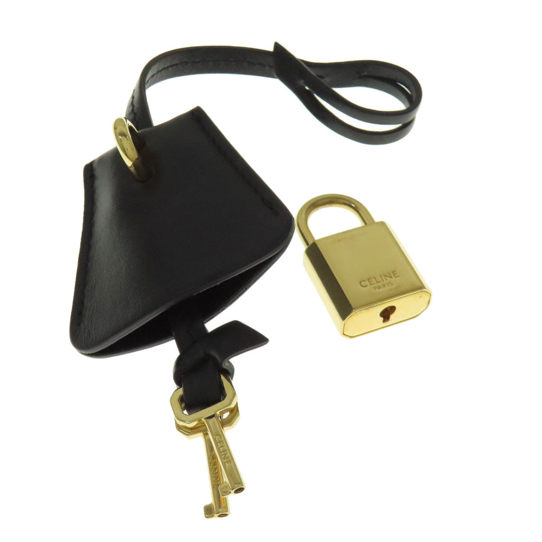 CELINE Tote Bag PVC Brown Vertical Cover Large Triomphe