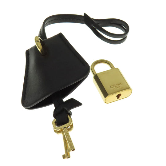 CELINE Tote Bag PVC Brown Vertical Cover Large Triomphe