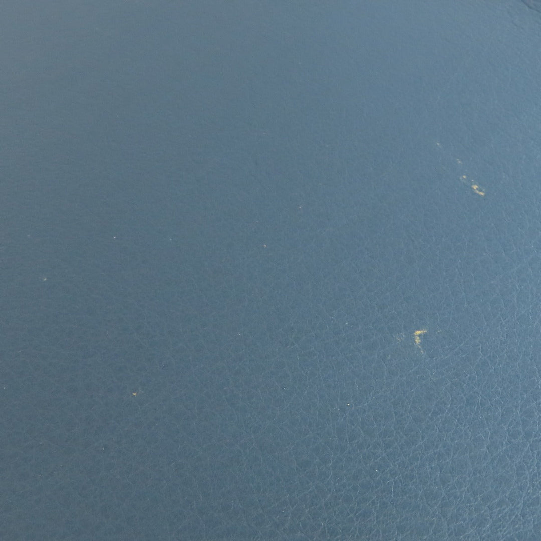 CELINE Tote Bag Calfskin blue Luggage phantom