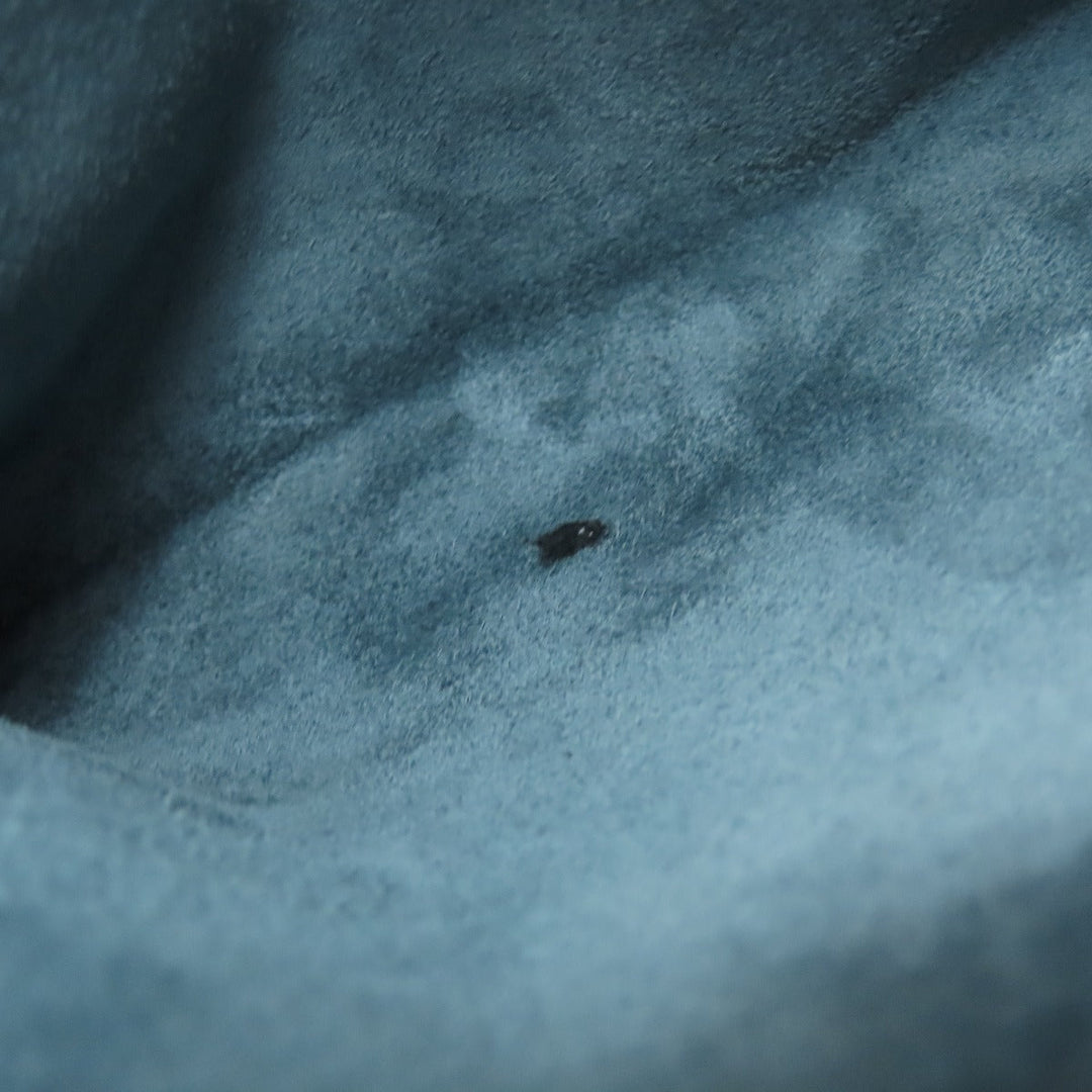 CELINE Tote Bag Calfskin blue Luggage phantom