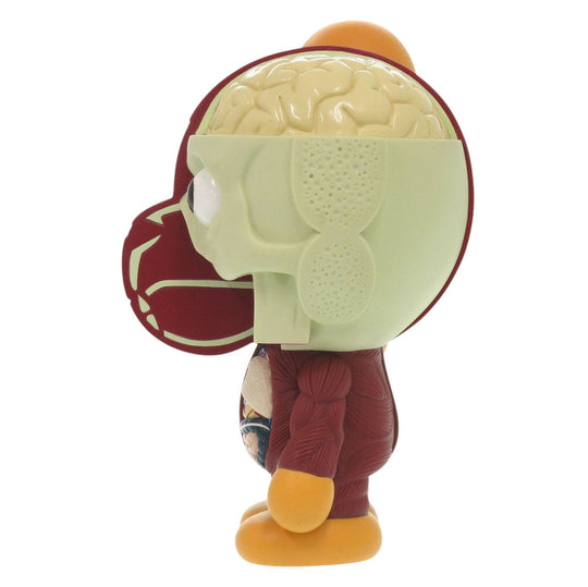 MEDICOM TOY object plastic Brown 11Stainless Steel A Bathing Ape Original Fake KAWS Human Body Model unisex(Unisex) Used Authentic
