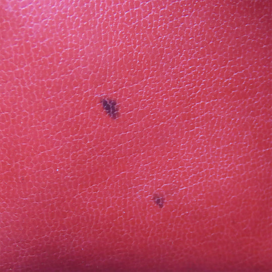 CHANEL Shoulder Bag lambskin Red Chain Bicolole Women Used Authentic