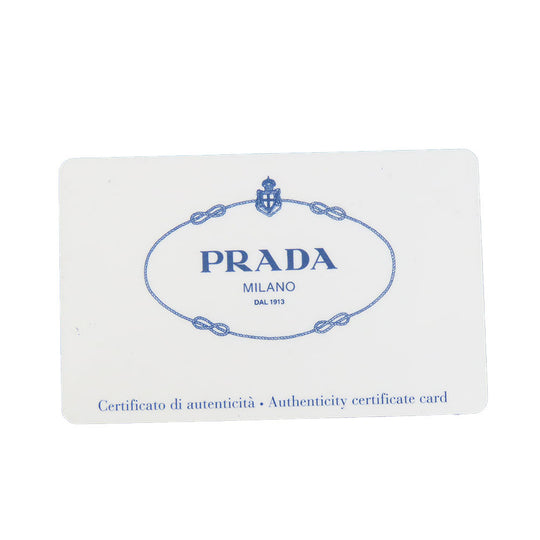 PRADA Handbag B2642B canvas Blue type Canapa Women Used Authentic