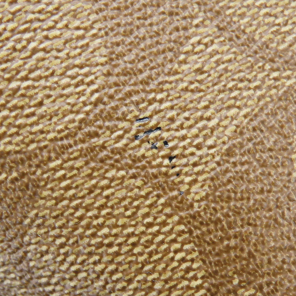 COACH Tote Bag F38405 Leather, PVC coated canvas Brown Varsity Stripes Women Used Authentic