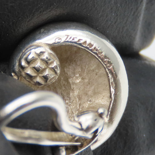 TIFFANY&Co. Earring Silver925 Silver nugget